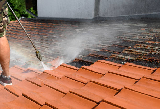 Best Affordable Pressure Washing  in Olivarez, TX