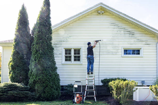 Best Local Pressure Washing Services  in Olivarez, TX