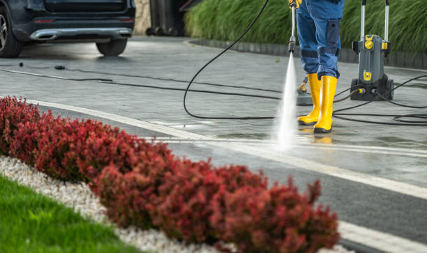 Best Power Washing Near Me  in Olivarez, TX